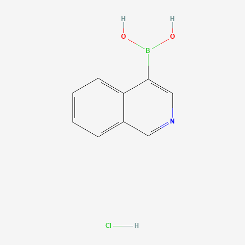 isoquinolin-4-ylboronic acid;hydrochloride (CAS: 677702-23-7) - Related Chemical Product
