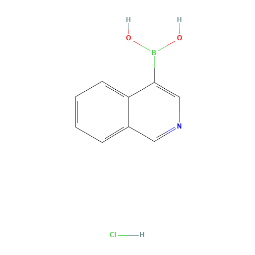 isoquinolin-4-ylboronic acid;hydrochloride (CAS: 677702-23-7) - Related Chemical Product