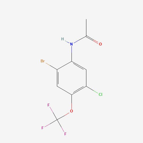 N-[2-bromo-5-chloro-4-(trifluoromethoxy)phenyl]acetamide (CAS: 685536-35-0) - Related Chemical Product