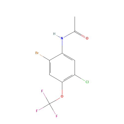 N-[2-bromo-5-chloro-4-(trifluoromethoxy)phenyl]acetamide (CAS: 685536-35-0) - Related Chemical Product