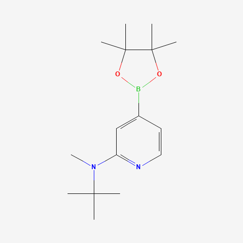 N-tert-butyl-N-methyl-4-(4,4,5,5-tetramethyl-1,3,2-dioxaborolan-2-yl)pyridin-2-amine (CAS: 1352757-01-7) - Related Chemical Product