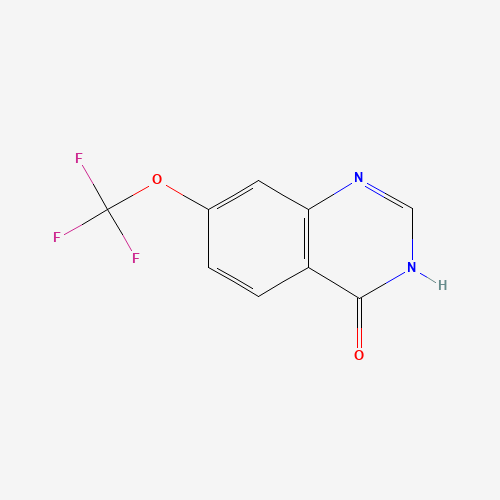 7-(trifluoromethoxy)-1H-quinazolin-4-one (CAS: 1260759-77-0) - Related Chemical Product