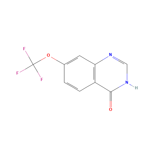 7-(trifluoromethoxy)-1H-quinazolin-4-one (CAS: 1260759-77-0) - Related Chemical Product