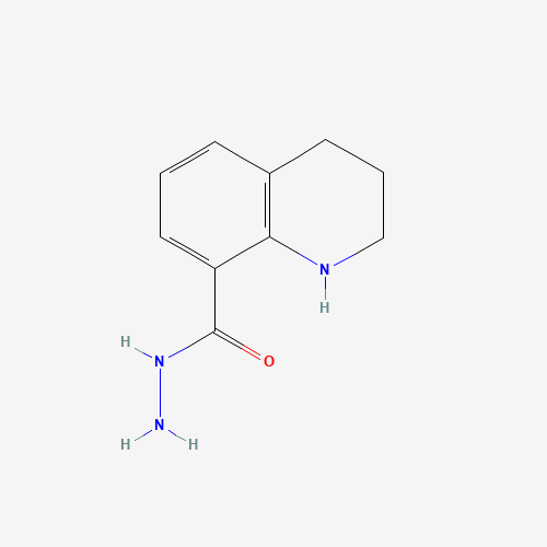 1,2,3,4-tetrahydroquinoline-8-carbohydrazide (CAS: 120164-02-5) - Related Chemical Product