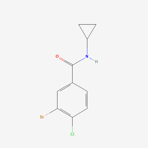 3-bromo-4-chloro-N-cyclopropylbenzamide (CAS: 515135-61-2) - Related Chemical Product