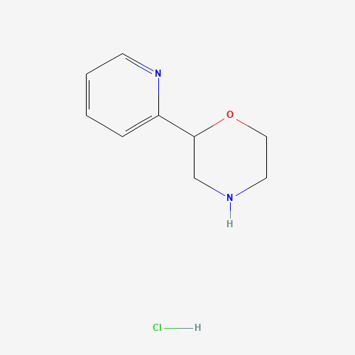 2-pyridin-2-ylmorpholine;hydrochloride (CAS: 1251023-51-4) - Related Chemical Product