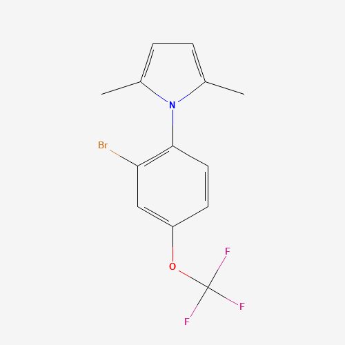 1-[2-bromo-4-(trifluoromethoxy)phenyl]-2,5-dimethylpyrrole (CAS: 257285-02-2) - Related Chemical Product