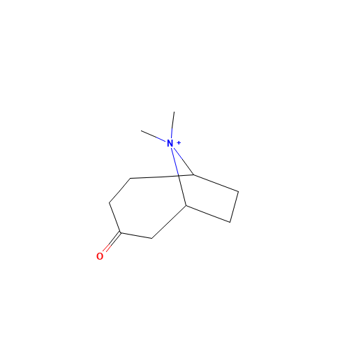 9,9-dimethyl-9-azoniabicyclo[4.2.1]nonan-4-one (CAS: 1080067-56-6) - Related Chemical Product