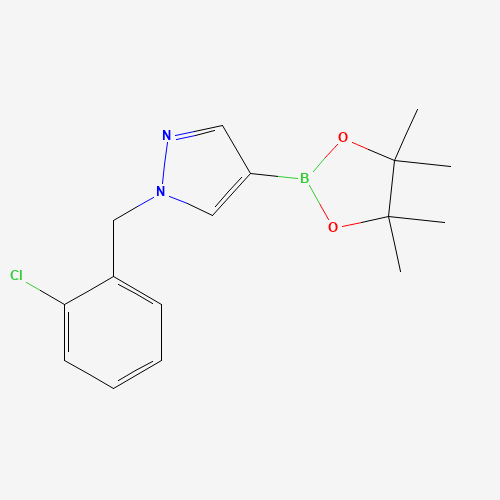 1-[(2-chlorophenyl)methyl]-4-(4,4,5,5-tetramethyl-1,3,2-dioxaborolan-2-yl)pyrazole (CAS: 1430750-66-5) - Related Chemical Product