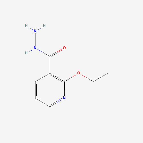 2-ethoxypyridine-3-carbohydrazide (CAS: 1156004-41-9) - Related Chemical Product