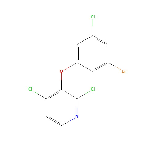 3-(3-bromo-5-chlorophenoxy)-2,4-dichloropyridine (CAS: 1338226-09-7) - Related Chemical Product