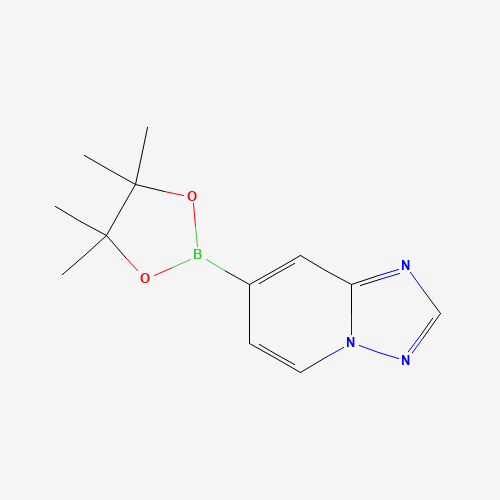 7-(4,4,5,5-tetramethyl-1,3,2-dioxaborolan-2-yl)-[1,2,4]triazolo[1,5-a]pyridine (CAS: 1210048-18-2) - Related Chemical Product