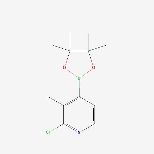 2-chloro-3-methyl-4-(4,4,5,5-tetramethyl-1,3,2-dioxaborolan-2-yl)pyridine (CAS: 1010101-06-0) - Related Chemical Product