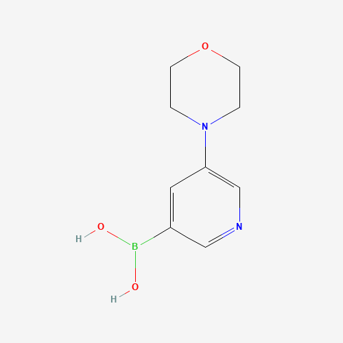 (5-morpholin-4-ylpyridin-3-yl)boronic acid (CAS: 1215107-26-8) - Related Chemical Product