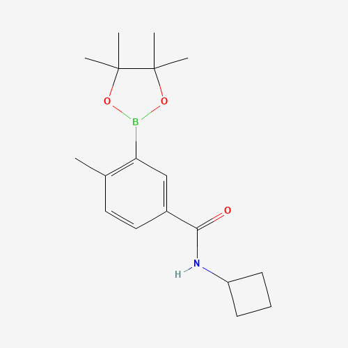 N-cyclobutyl-4-methyl-3-(4,4,5,5-tetramethyl-1,3,2-dioxaborolan-2-yl)benzamide (CAS: 861905-20-6) - Related Chemical Product