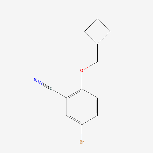 5-bromo-2-(cyclobutylmethoxy)benzonitrile (CAS: 1419747-72-0) - Related Chemical Product