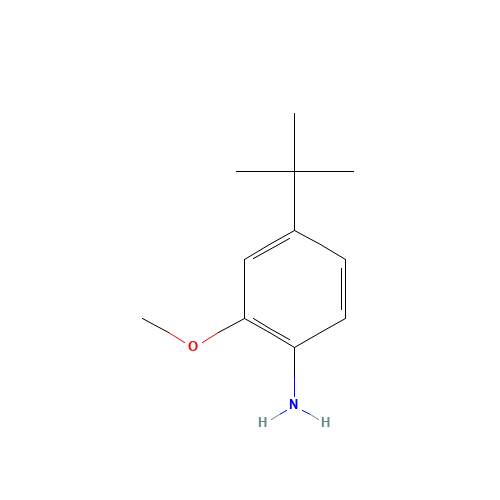 4-tert-butyl-2-methoxyaniline (CAS: 228401-14-7) - Chemical Structure and Molecular Formula 