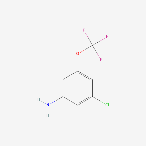 3-chloro-5-(trifluoromethoxy)aniline (CAS: 151276-13-0) - Chemical Structure and Molecular Formula 