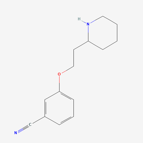 3-(2-piperidin-2-ylethoxy)benzonitrile (CAS: 475144-83-3) - Related Chemical Product
