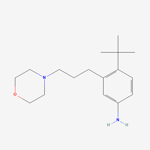 4-tert-butyl-3-(3-morpholin-4-ylpropyl)aniline (CAS: 870220-71-6) - Related Chemical Product