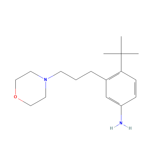 4-tert-butyl-3-(3-morpholin-4-ylpropyl)aniline (CAS: 870220-71-6) - Chemical Structure and Molecular Formula 