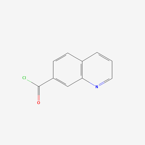 quinoline-7-carbonyl chloride (CAS: 206257-00-3) - Related Chemical Product