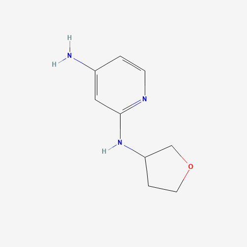 2-N-(oxolan-3-yl)pyridine-2,4-diamine (CAS: 1313726-80-5) - Chemical Structure and Molecular Formula 