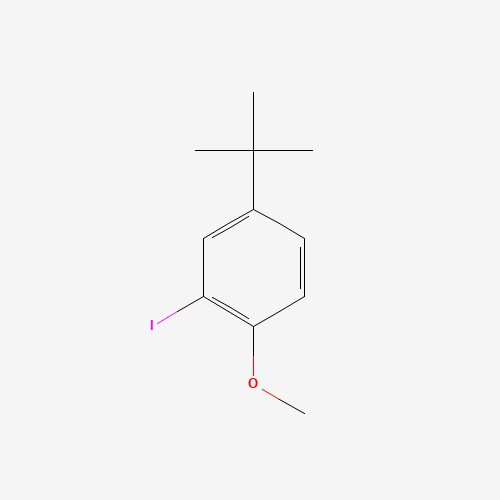 4-tert-butyl-2-iodo-1-methoxybenzene (CAS: 75060-39-8) - Related Chemical Product