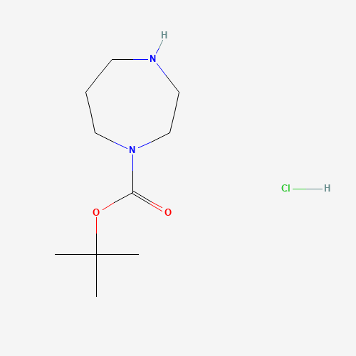 tert-butyl 1,4-diazepane-1-carboxylate;hydrochloride (CAS: 1049743-87-4) - Related Chemical Product