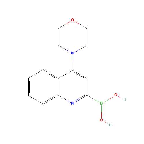 (4-morpholin-4-ylquinolin-2-yl)boronic acid (CAS: 1201845-56-8) - Related Chemical Product