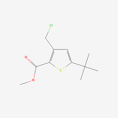 methyl 5-tert-butyl-3-(chloromethyl)thiophene-2-carboxylate (CAS: 252914-61-7) - Related Chemical Product