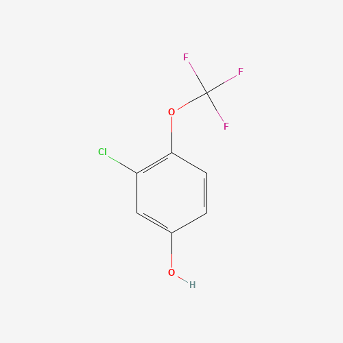 3-chloro-4-(trifluoromethoxy)phenol (CAS: 1000339-94-5) - Related Chemical Product