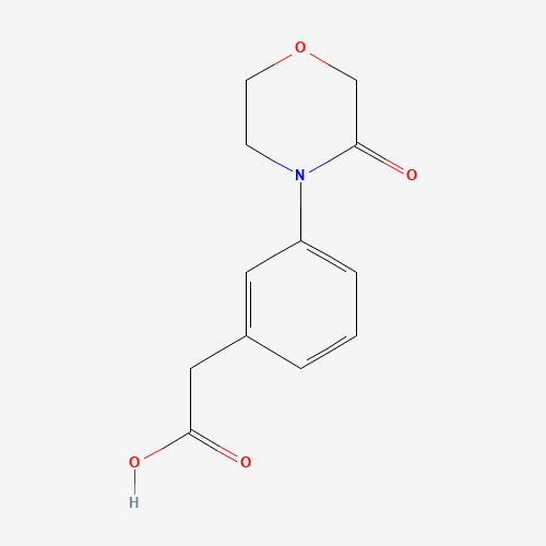 2-[3-(3-oxomorpholin-4-yl)phenyl]acetic acid (CAS: 1203546-10-4) - Related Chemical Product