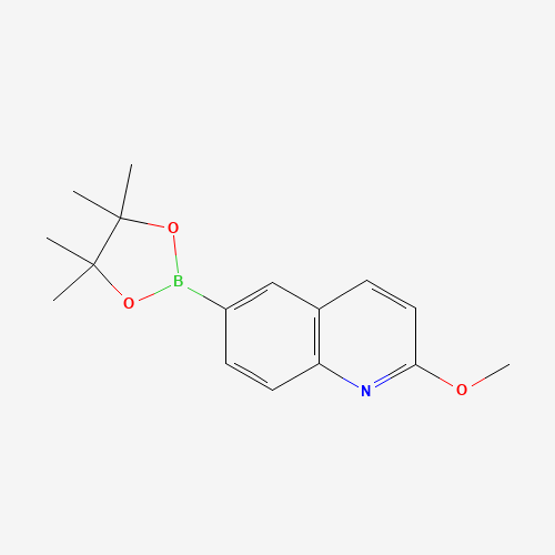 2-methoxy-6-(4,4,5,5-tetramethyl-1,3,2-dioxaborolan-2-yl)quinoline (CAS: 1201644-36-1) - Related Chemical Product