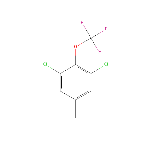 1,3-dichloro-5-methyl-2-(trifluoromethoxy)benzene (CAS: 1350760-79-0) - Related Chemical Product