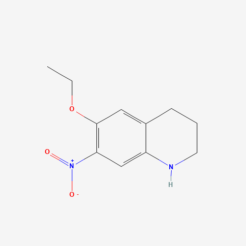 6-ethoxy-7-nitro-1,2,3,4-tetrahydroquinoline (CAS: 1116230-85-3) - Related Chemical Product