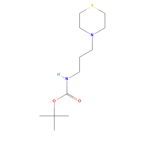 tert-butyl N-(3-thiomorpholin-4-ylpropyl)carbamate (CAS: 454701-66-7) - Chemical Structure and Molecular Formula 