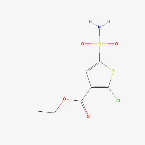 ethyl 2-chloro-5-sulfamoylthiophene-3-carboxylate (CAS: 154064-99-0) - Related Chemical Product