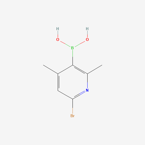 (6-bromo-2,4-dimethylpyridin-3-yl)boronic acid (CAS: 1072944-23-0) - Related Chemical Product