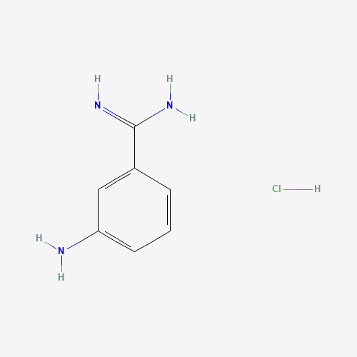 3-aminobenzenecarboximidamide;hydrochloride (CAS: 3459-67-4) - Related Chemical Product