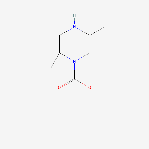 tert-butyl 2,2,5-trimethylpiperazine-1-carboxylate (CAS: 1443741-44-3) - Related Chemical Product