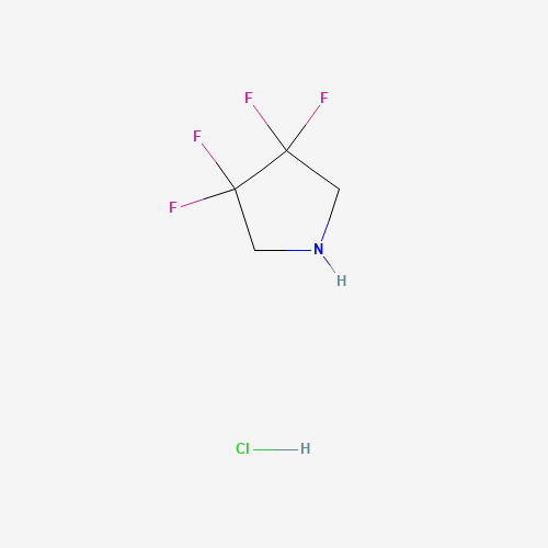 3,3,4,4-tetrafluoropyrrolidine;hydrochloride (CAS: 1810-13-5) - Related Chemical Product