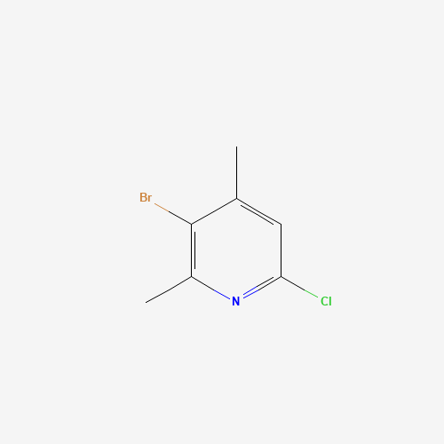 3-bromo-6-chloro-2,4-dimethylpyridine (CAS: 918145-29-6) - Related Chemical Product