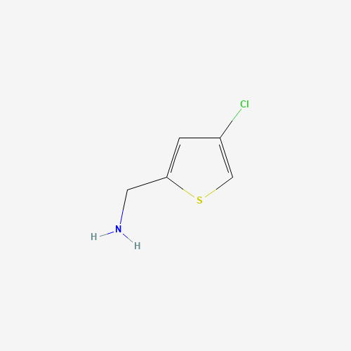 (4-chlorothiophen-2-yl)methanamine (CAS: 214759-19-0) - Related Chemical Product