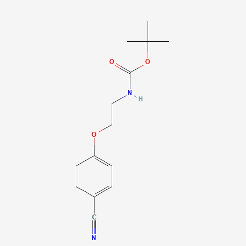 tert-butyl N-[2-(4-cyanophenoxy)ethyl]carbamate (CAS: 919085-52-2) - Related Chemical Product
