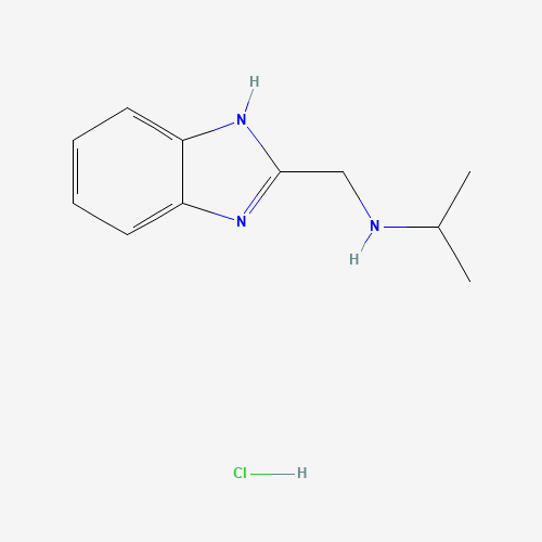 N-(1H-benzimidazol-2-ylmethyl)propan-2-amine;hydrochloride (CAS: 1224165-16-5) - Related Chemical Product
