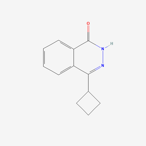 4-cyclobutyl-2H-phthalazin-1-one (CAS: 1331917-53-3) - Related Chemical Product