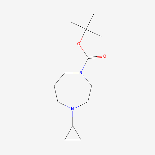 tert-butyl 4-cyclopropyl-1,4-diazepane-1-carboxylate (CAS: 1000405-23-1) - Related Chemical Product