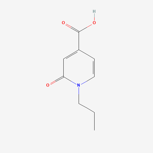 2-oxo-1-propylpyridine-4-carboxylic acid (CAS: 1203544-03-9) - Related Chemical Product