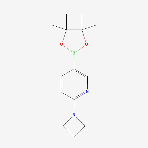 2-(azetidin-1-yl)-5-(4,4,5,5-tetramethyl-1,3,2-dioxaborolan-2-yl)pyridine (CAS: 1257553-70-0) - Related Chemical Product